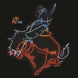 WAYFARING STRANGERS: COSMIC AMERICAN (NEW LP)