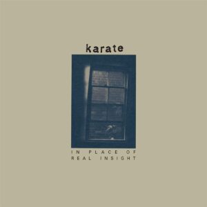 IN PLACE OF REAL INSIGHT (NEW LP)