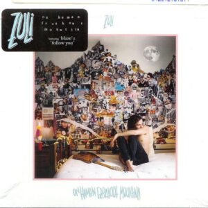 ON HUMAN FREAKOUT MOUNTAIN (CD)