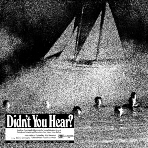 DIDN'T YOU HEAR? (NEW LP)
