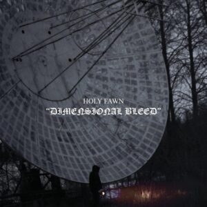DIMENSIONAL BLEED (NEW LP)