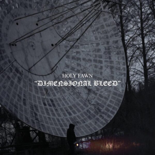 DIMENSIONAL BLEED (NEW LP)
