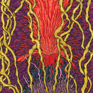 Harmonic Tremors (NEW LP)