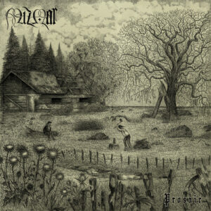 Prosaic (NEW LP)