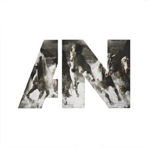 RUN (CD)
