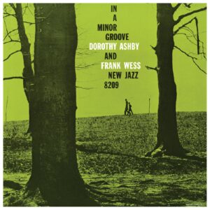 IN A MINOR GROOVE (NEW LP)