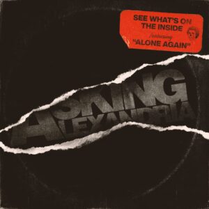 SEE WHAT'S ON THE INSIDE (NEW LP) (MD)