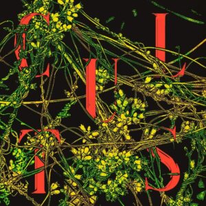HOST (IEX) (NEW LP) (MD)