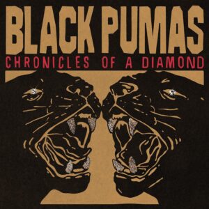 Chronicles Of A Diamond (CD)