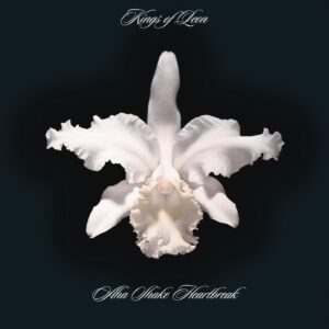 AHA SHAKE HEARTBREAK (NEW LP)