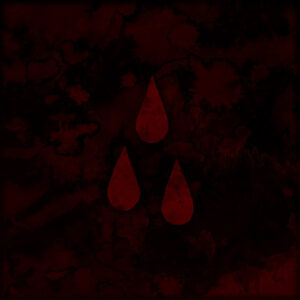 BLOOD ALBUM (Used CD)