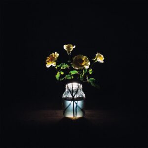 Renewal (CD)