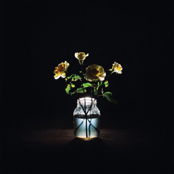 Renewal (NEW LP)