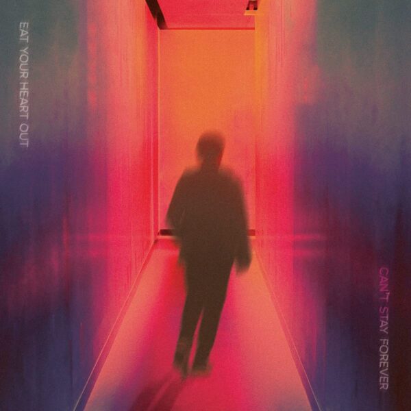 CAN'T STAY FOREVER (MD) (NEW LP)