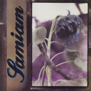 SAMIAM (NEW LP)