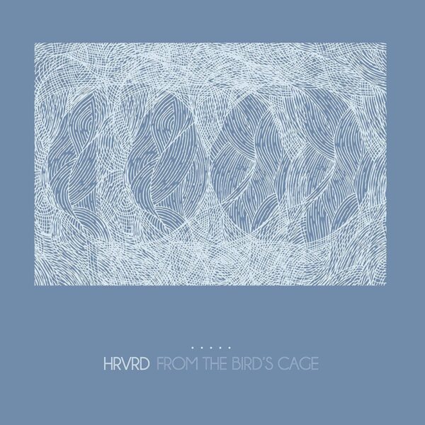 From the Birds Cage (NEW LP)