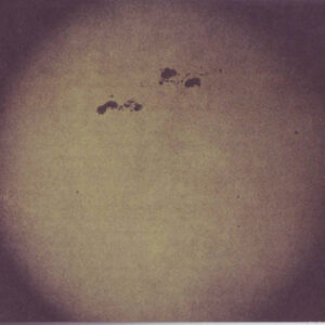 Survive (CD)