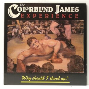 Why Should I Stand Up (USED LP)