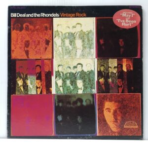 Vintage Rock (USED LP)