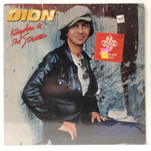 Kingdom In The Streets (USED LP)