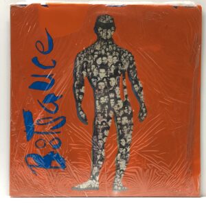 Brown Album (USED LP)