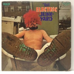 Electric Junkyard (USED LP)