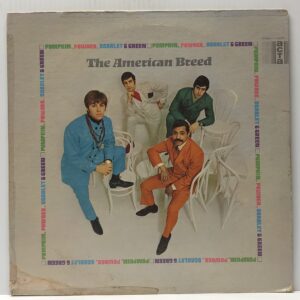 Pumpkin Powder Scarlet & Green (USED LP)