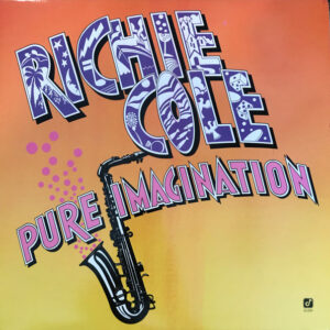 Pure Imagination (USED LP)