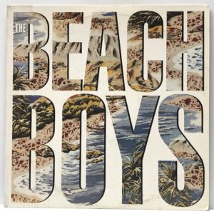 Beach Boys (USED LP)