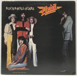 Rock & Roll Scars (USED LP)