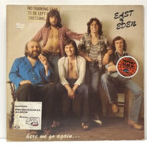 Here We Go Again (USED LP)