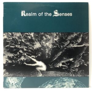 Realm of the Senses (USED LP)