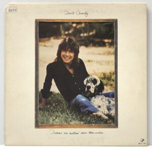 Dreams Are Nuthin More Than Wishes (USED LP)