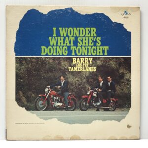 I Wonder What Shes Doing Tonight (USED LP)