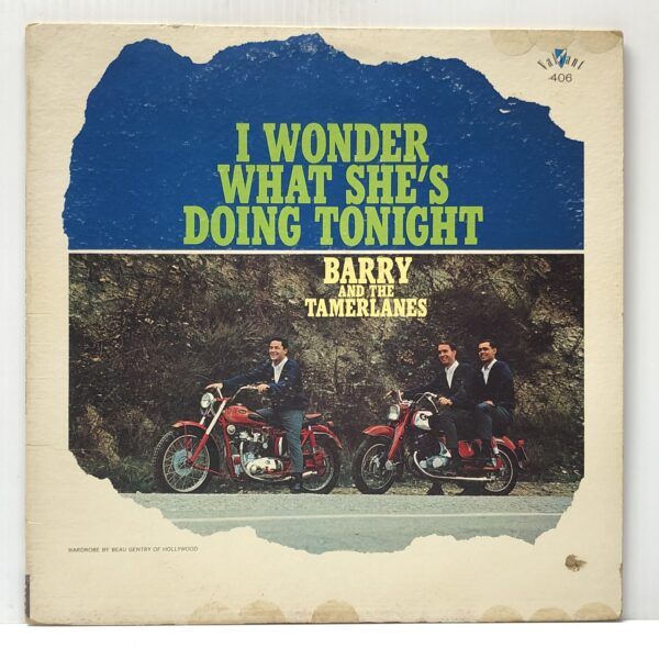 I Wonder What Shes Doing Tonight (USED LP)