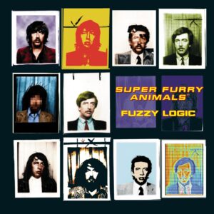 FUZZY LOGIC (CD)