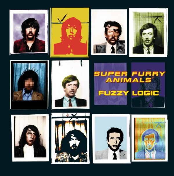 FUZZY LOGIC (CD)