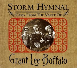 STORM HYMNAL: GEMS FROM THE VA (CD)
