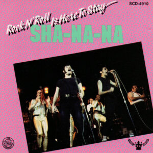 ROCK N ROLL IS HERE TO STAY (CD)