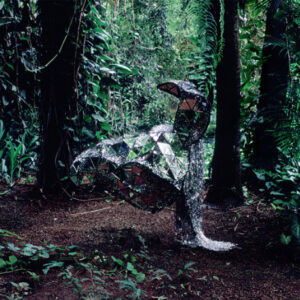 DONKEY (Used CD)
