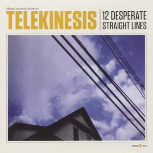 12 DESPERATE STRAIGHT LINES (CD)