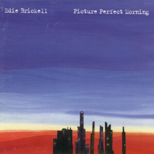 PICTURE PERFECT MORNING (CD)