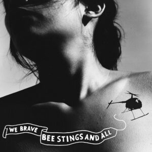 WE BRAVE BEE STINGS & ALL (CD)