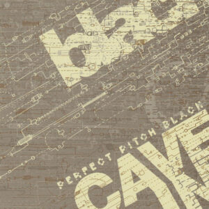PERFECT PITCH BLACK (Used CD)