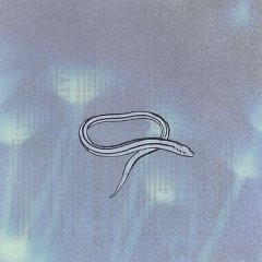 BRING ON THE SNAKES (Used CD)