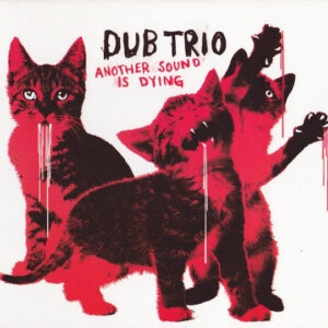 ANOTHER SOUND IS DYING (CD)