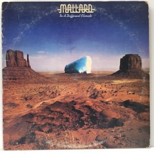 In a Different Climate (USED LP)