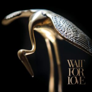 WAIT FOR LOVE (CD)