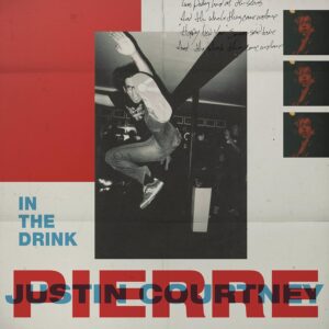 IN THE DRINK (CD)