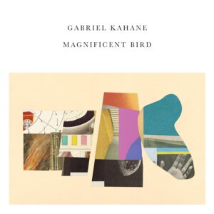 MAGNIFICENT BIRD (CD)